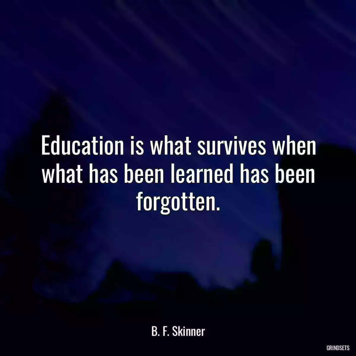 Education is what survives when what has been learned has been forgotten.