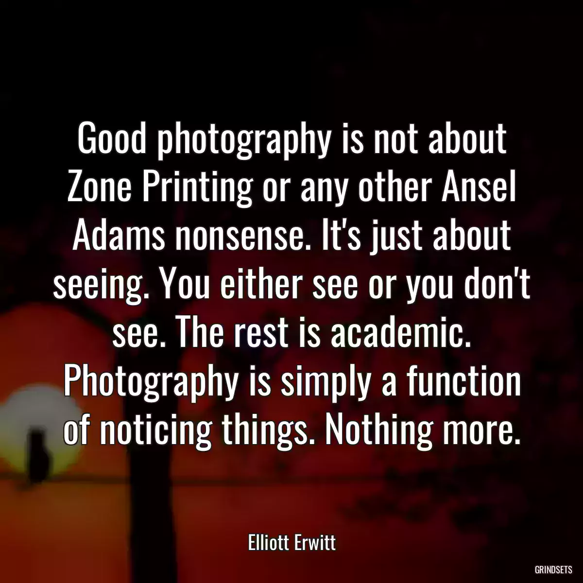 Good photography is not about Zone Printing or any other Ansel Adams nonsense. It\'s just about seeing. You either see or you don\'t see. The rest is academic. Photography is simply a function of noticing things. Nothing more.