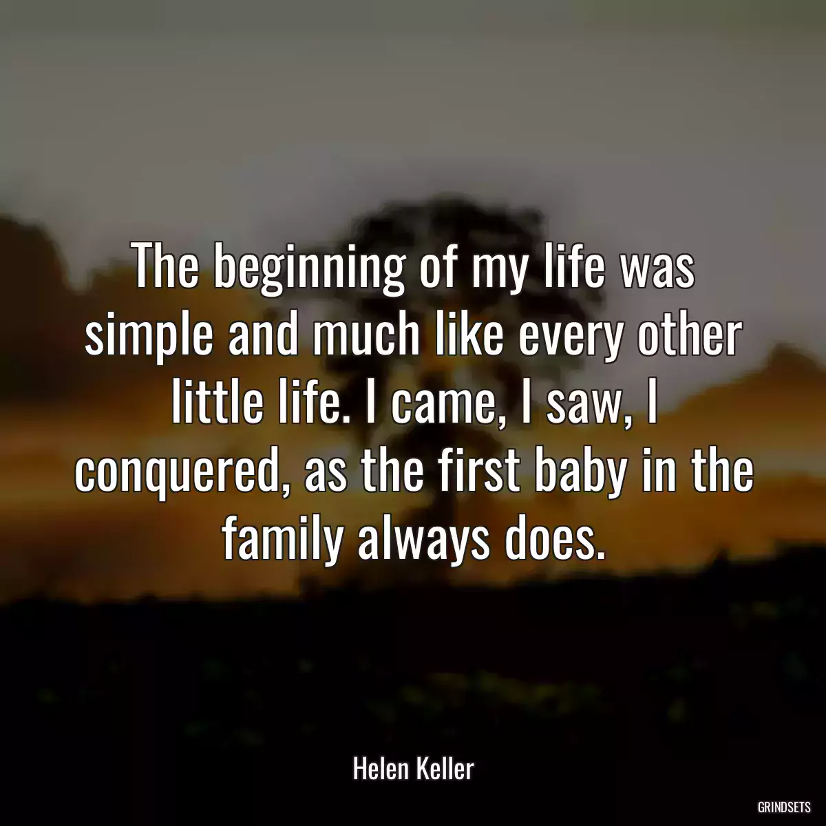 The beginning of my life was simple and much like every other little life. I came, I saw, I conquered, as the first baby in the family always does.