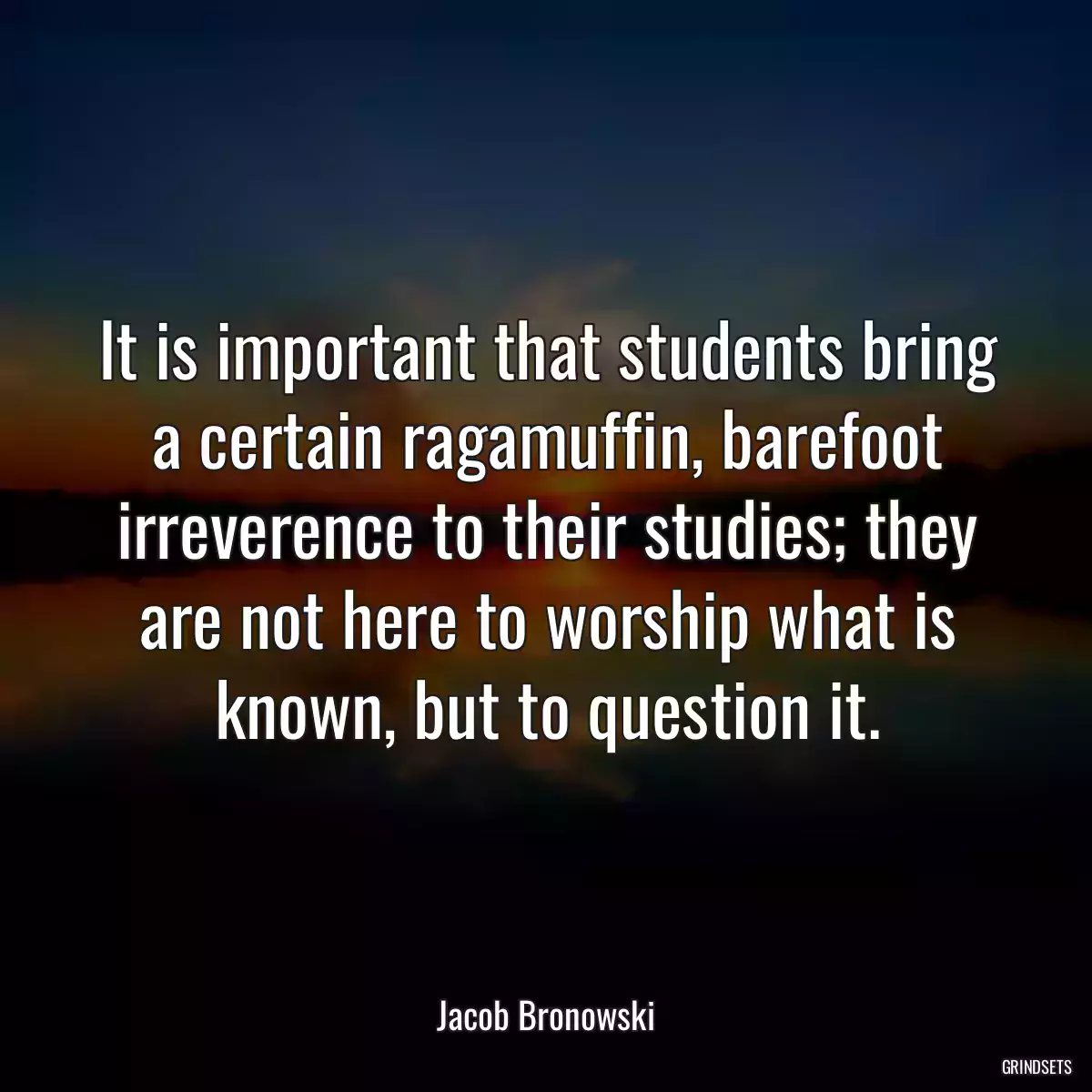 It is important that students bring a certain ragamuffin, barefoot irreverence to their studies; they are not here to worship what is known, but to question it.