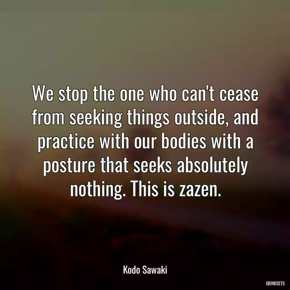 We stop the one who can\'t cease from seeking things outside, and practice with our bodies with a posture that seeks absolutely nothing. This is zazen.