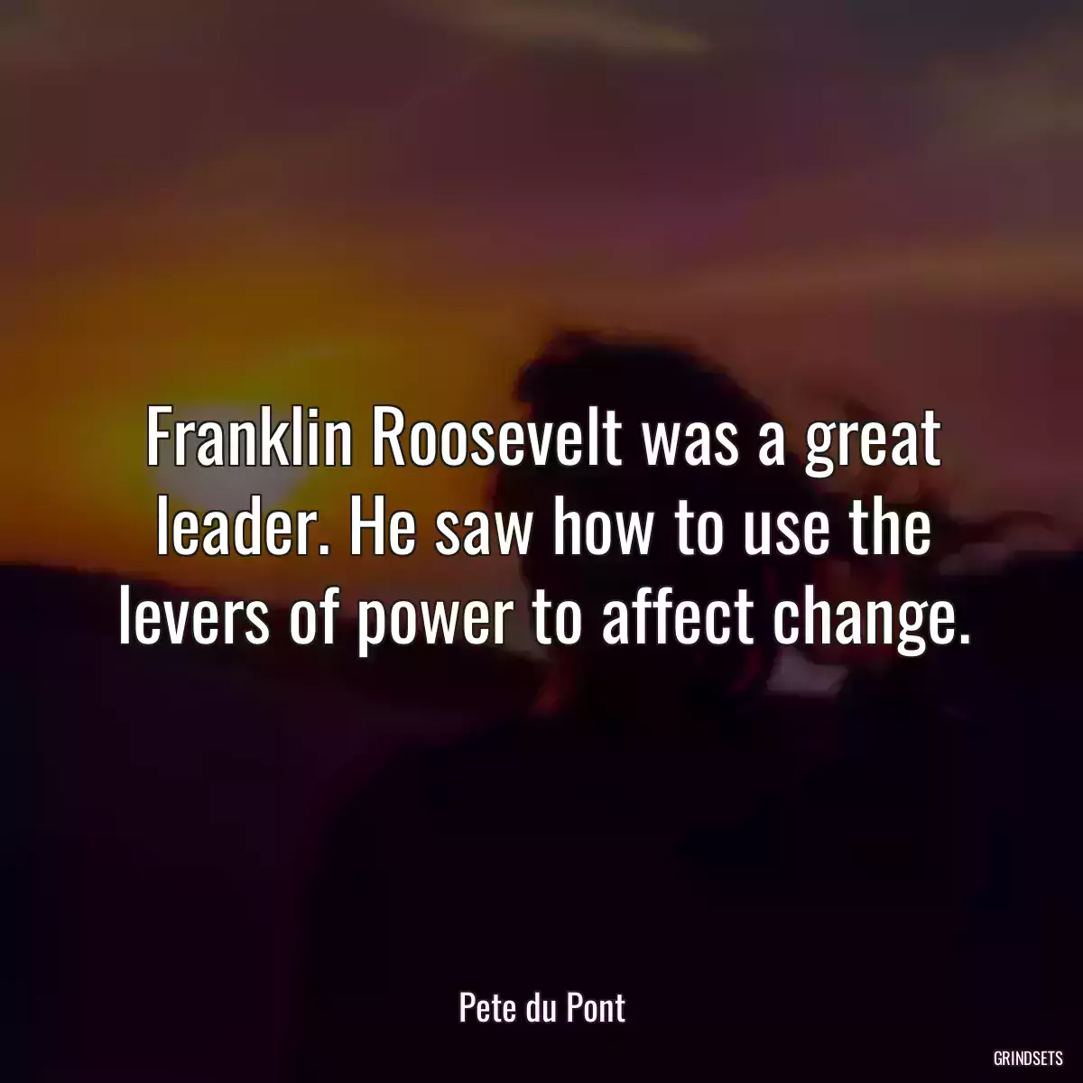 Franklin Roosevelt was a great leader. He saw how to use the levers of power to affect change.