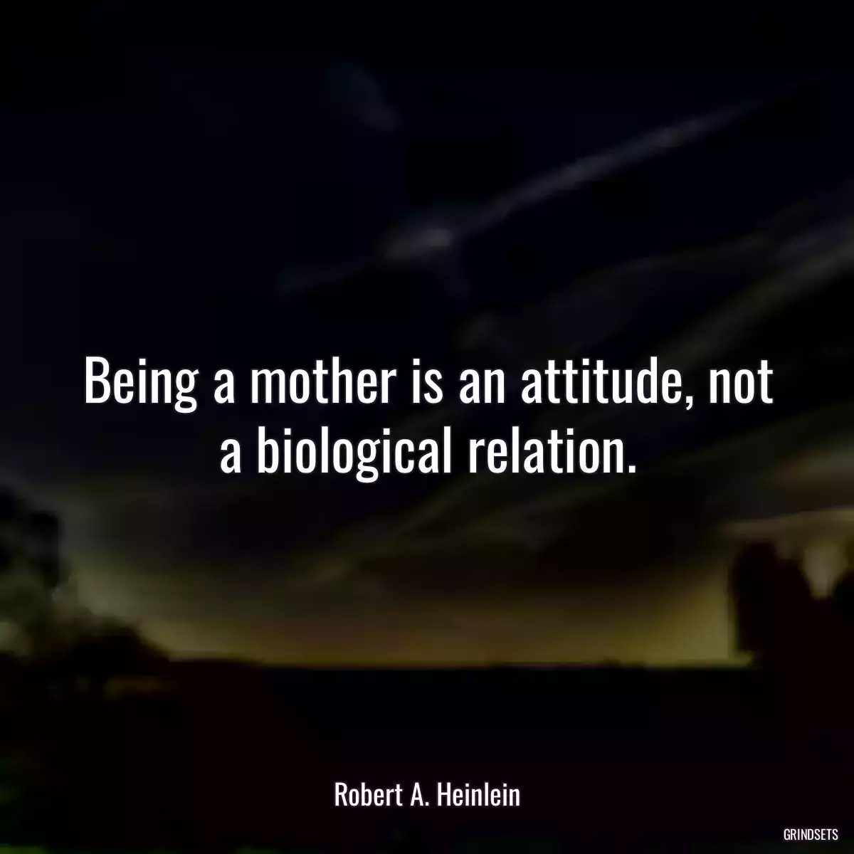 Being a mother is an attitude, not a biological relation.