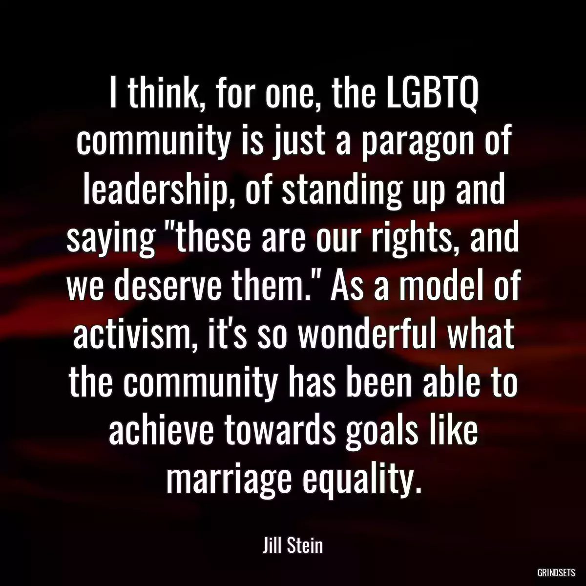 I think, for one, the LGBTQ community is just a paragon of leadership, of standing up and saying \