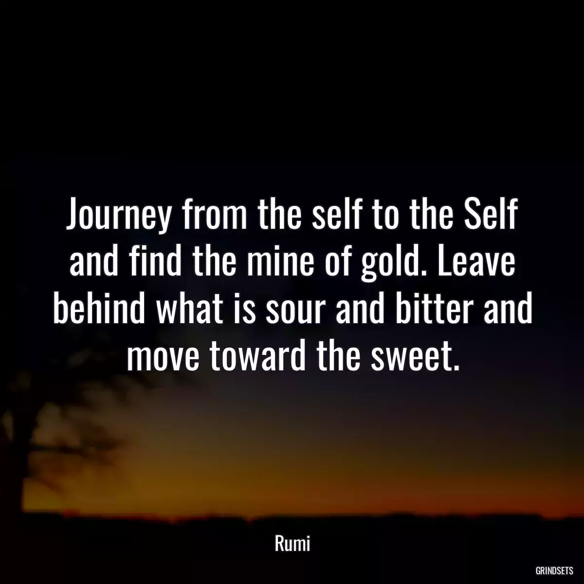 Journey from the self to the Self and find the mine of gold. Leave behind what is sour and bitter and move toward the sweet.