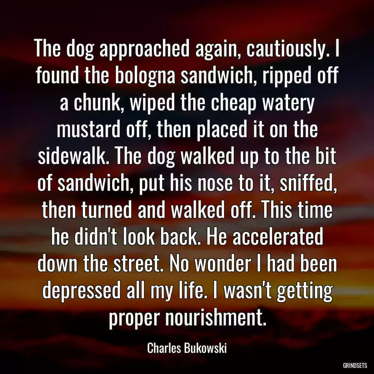 The dog approached again, cautiously. I found the bologna sandwich, ripped off a chunk, wiped the cheap watery mustard off, then placed it on the sidewalk. The dog walked up to the bit of sandwich, put his nose to it, sniffed, then turned and walked off. This time he didn\'t look back. He accelerated down the street. No wonder I had been depressed all my life. I wasn\'t getting proper nourishment.