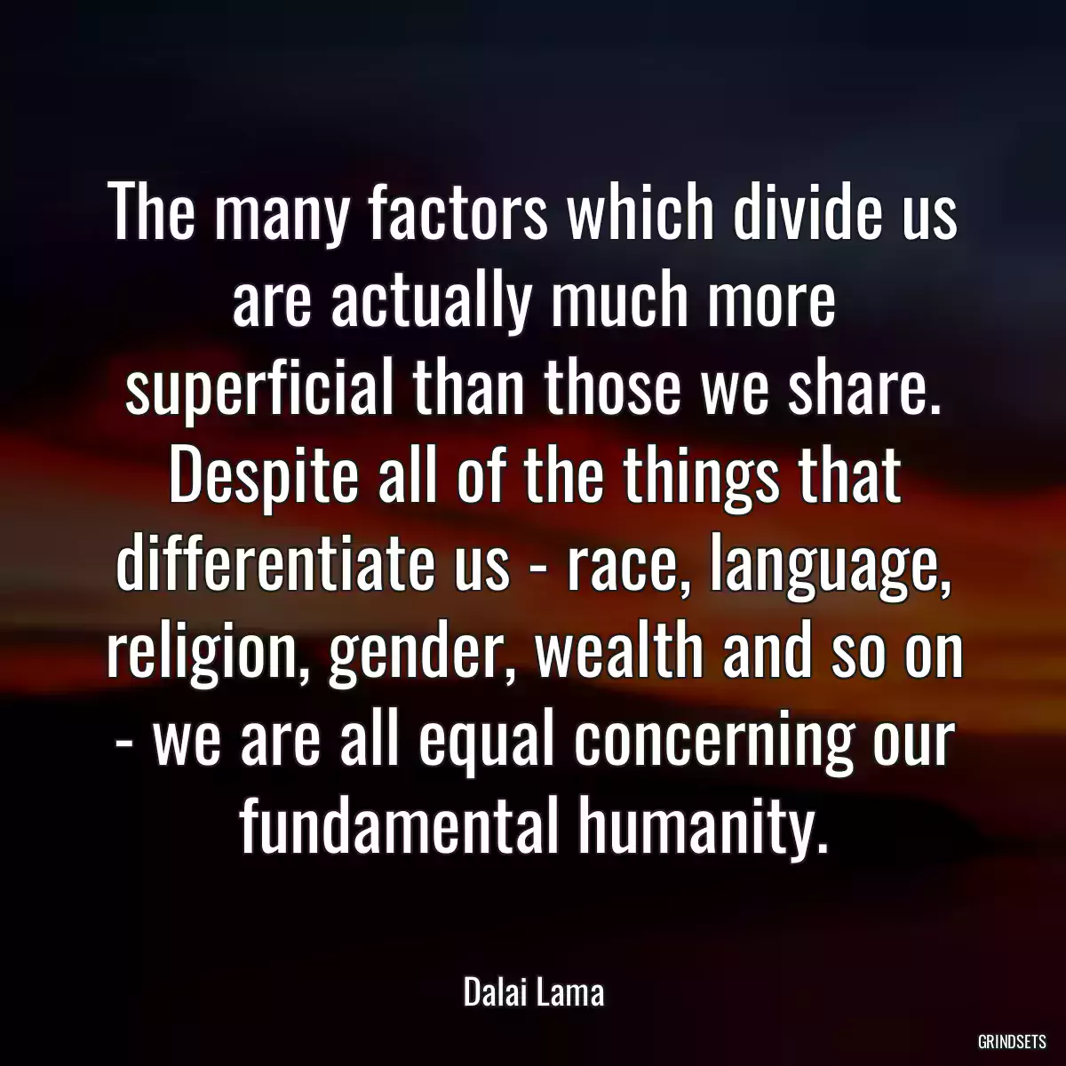 The many factors which divide us are actually much more superficial than those we share. Despite all of the things that differentiate us - race, language, religion, gender, wealth and so on - we are all equal concerning our fundamental humanity.