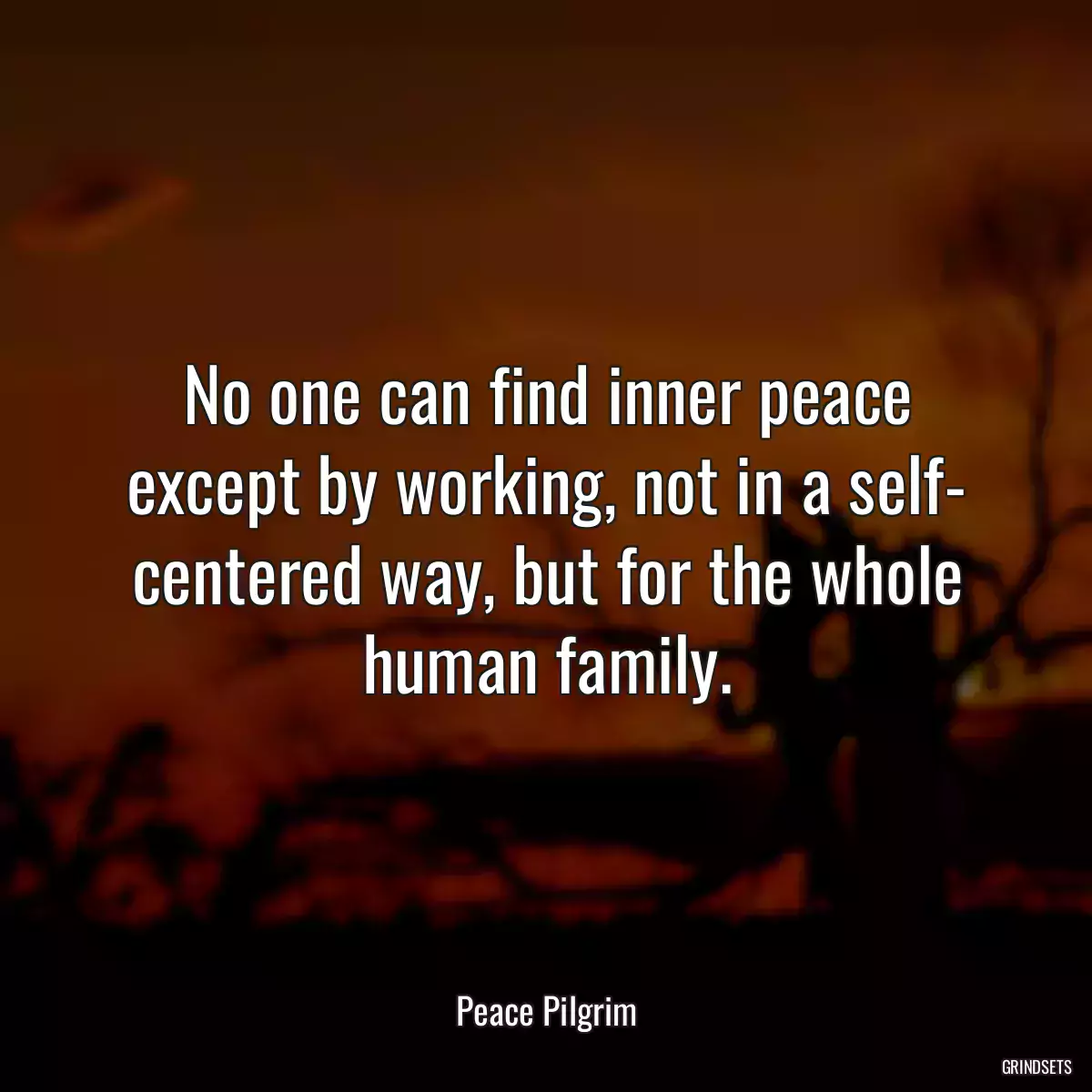 No one can find inner peace except by working, not in a self- centered way, but for the whole human family.