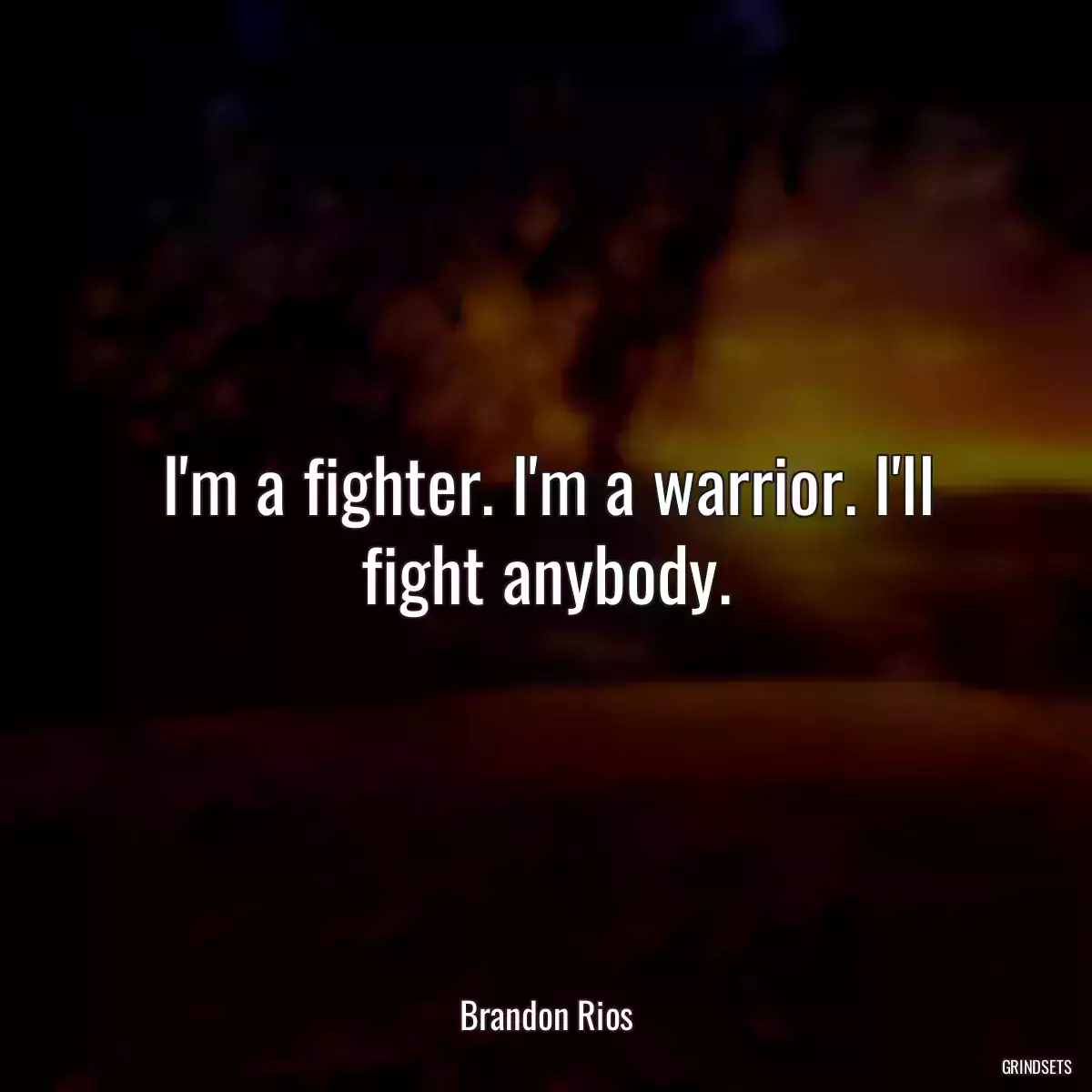 I\'m a fighter. I\'m a warrior. I\'ll fight anybody.