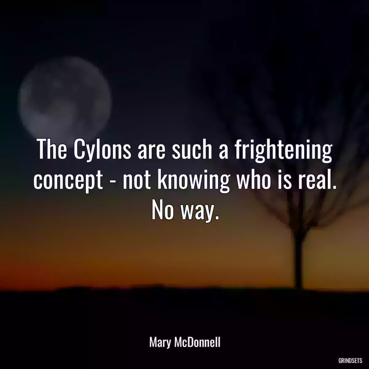 The Cylons are such a frightening concept - not knowing who is real. No way.