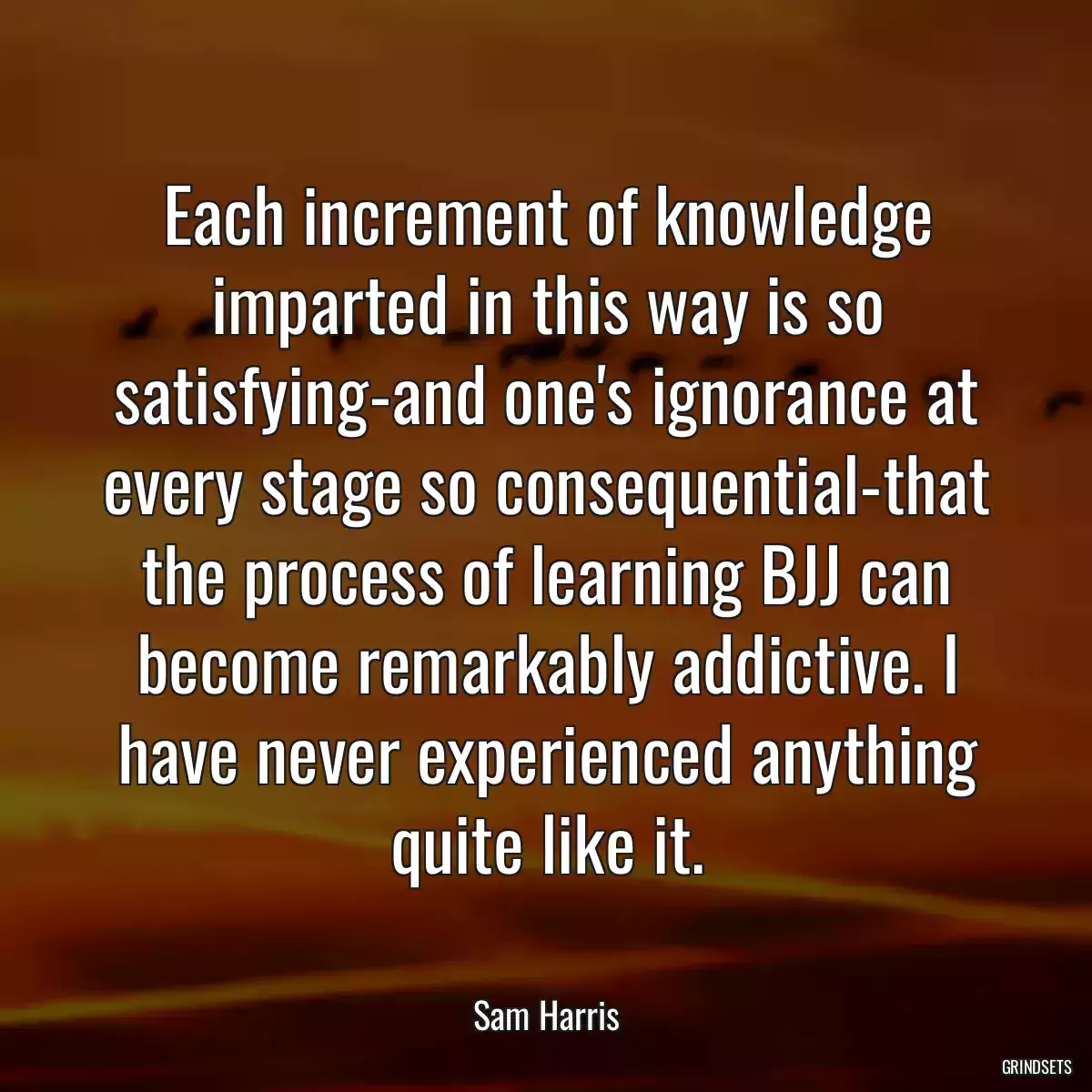 Each increment of knowledge imparted in this way is so satisfying-and one\'s ignorance at every stage so consequential-that the process of learning BJJ can become remarkably addictive. I have never experienced anything quite like it.