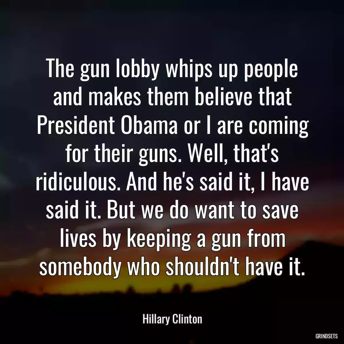 The gun lobby whips up people and makes them believe that President Obama or I are coming for their guns. Well, that\'s ridiculous. And he\'s said it, I have said it. But we do want to save lives by keeping a gun from somebody who shouldn\'t have it.