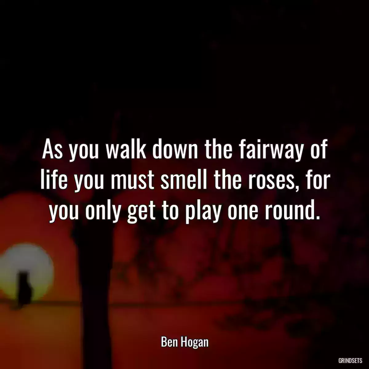 As you walk down the fairway of life you must smell the roses, for you only get to play one round.