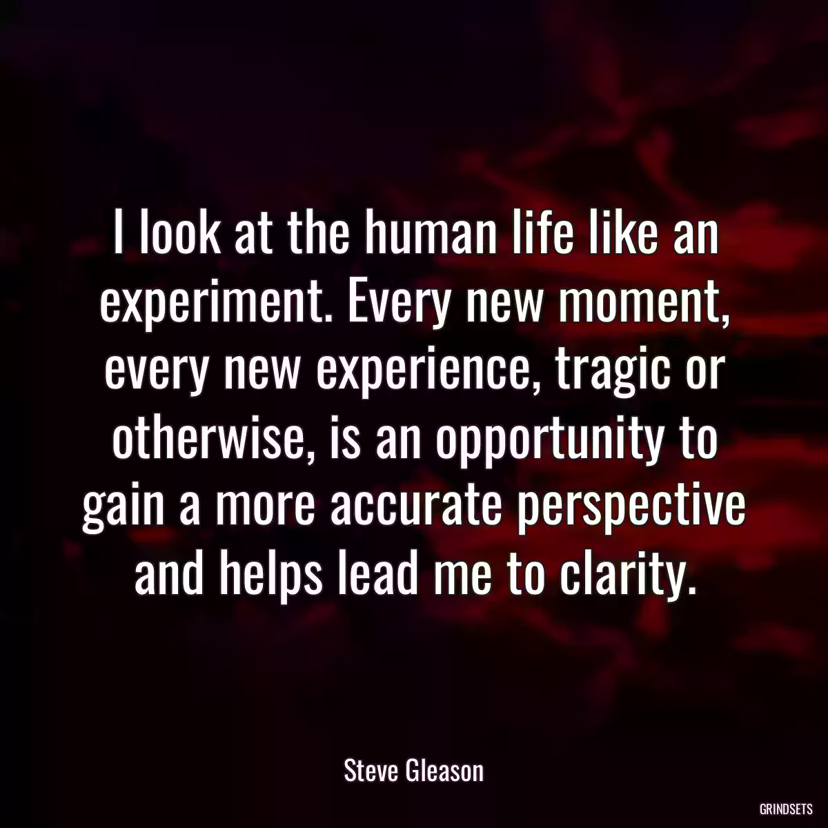 I look at the human life like an experiment. Every new moment, every new experience, tragic or otherwise, is an opportunity to gain a more accurate perspective and helps lead me to clarity.