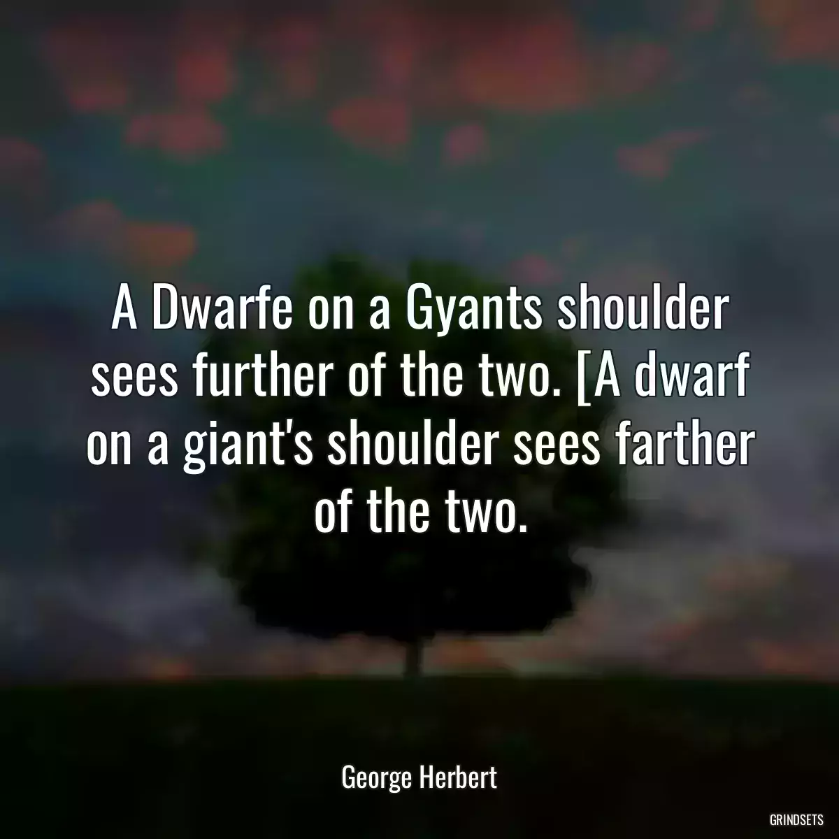 A Dwarfe on a Gyants shoulder sees further of the two. [A dwarf on a giant\'s shoulder sees farther of the two.