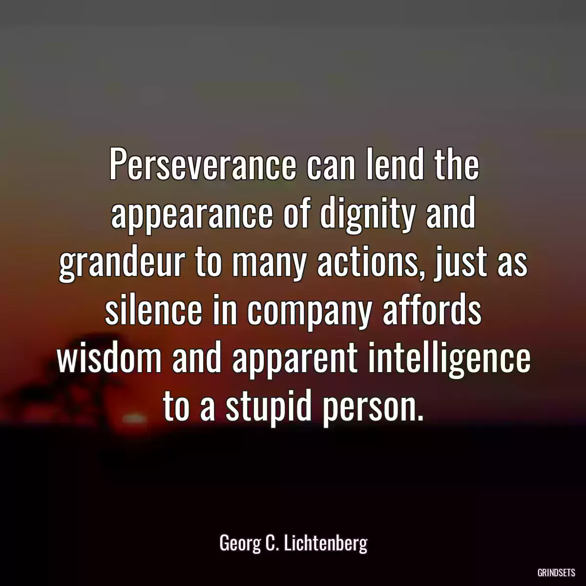 Perseverance can lend the appearance of dignity and grandeur to many actions, just as silence in company affords wisdom and apparent intelligence to a stupid person.