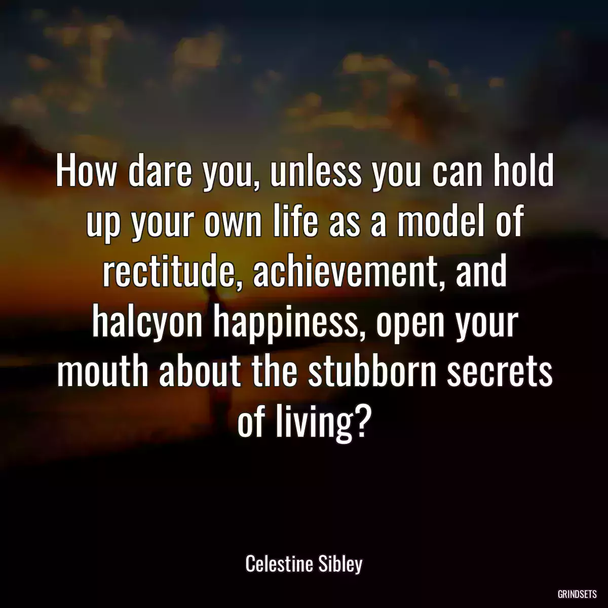 How dare you, unless you can hold up your own life as a model of rectitude, achievement, and halcyon happiness, open your mouth about the stubborn secrets of living?