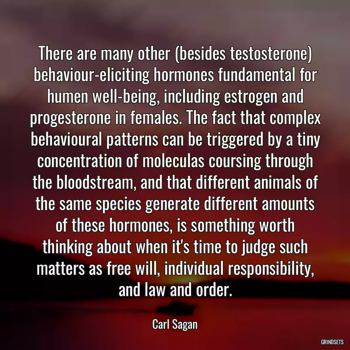 There are many other (besides testosterone) behaviour-eliciting hormones fundamental for humen well-being, including estrogen and progesterone in females. The fact that complex behavioural patterns can be triggered by a tiny concentration of moleculas coursing through the bloodstream, and that different animals of the same species generate different amounts of these hormones, is something worth thinking about when it\'s time to judge such matters as free will, individual responsibility, and law and order.