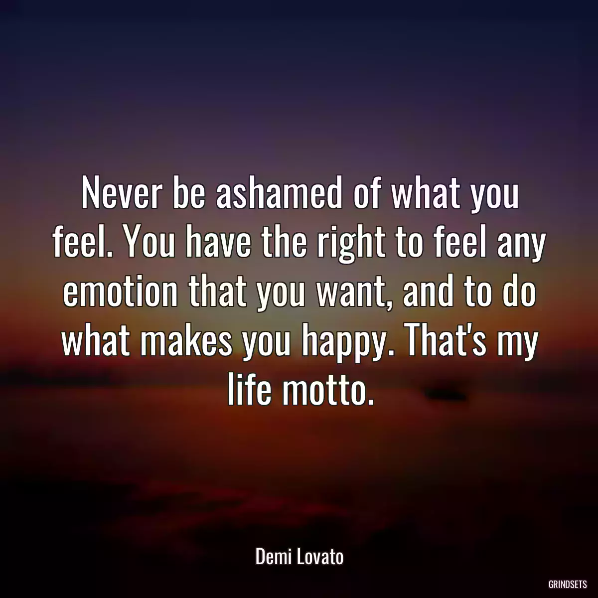 Never be ashamed of what you feel. You have the right to feel any emotion that you want, and to do what makes you happy. That\'s my life motto.