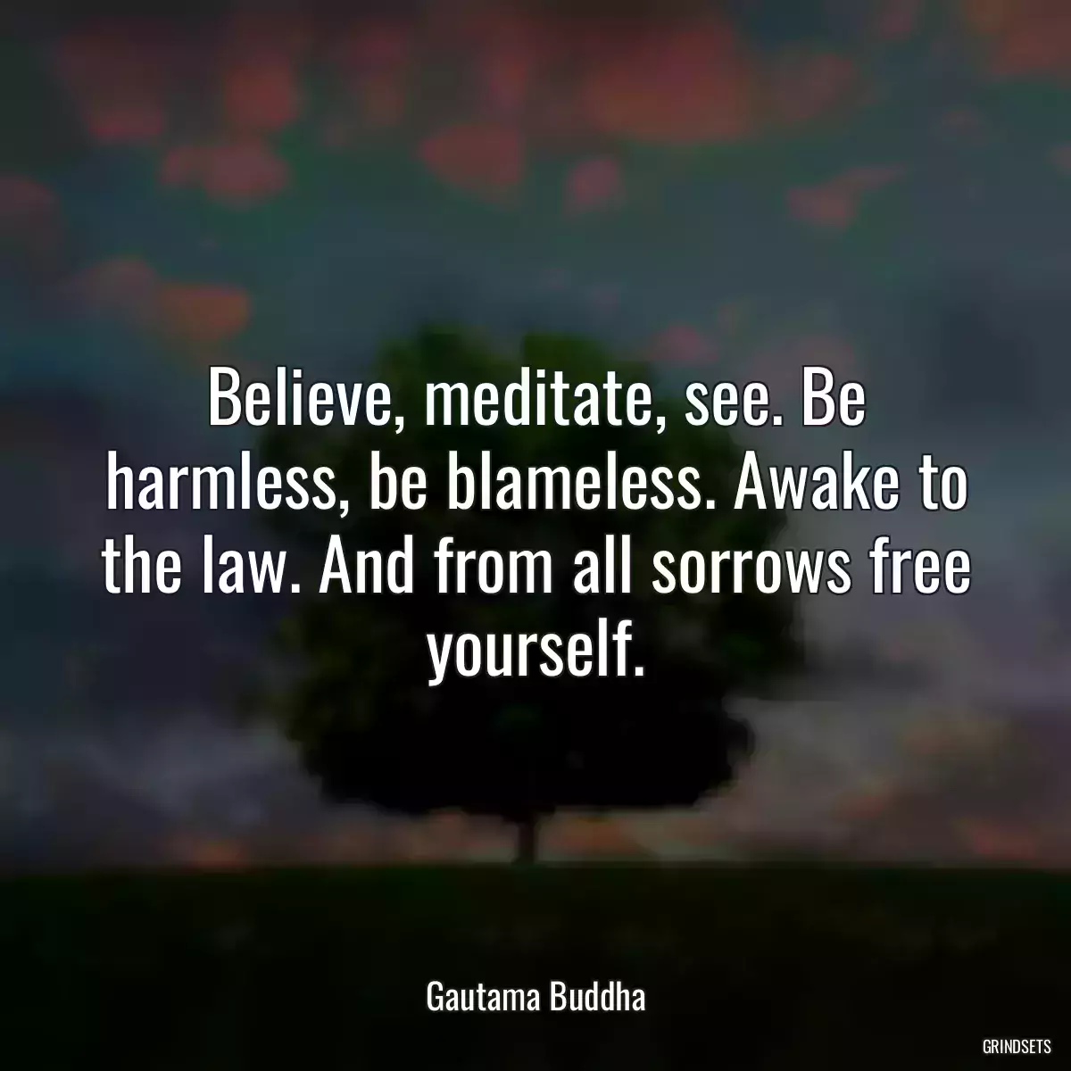 Believe, meditate, see. Be harmless, be blameless. Awake to the law. And from all sorrows free yourself.