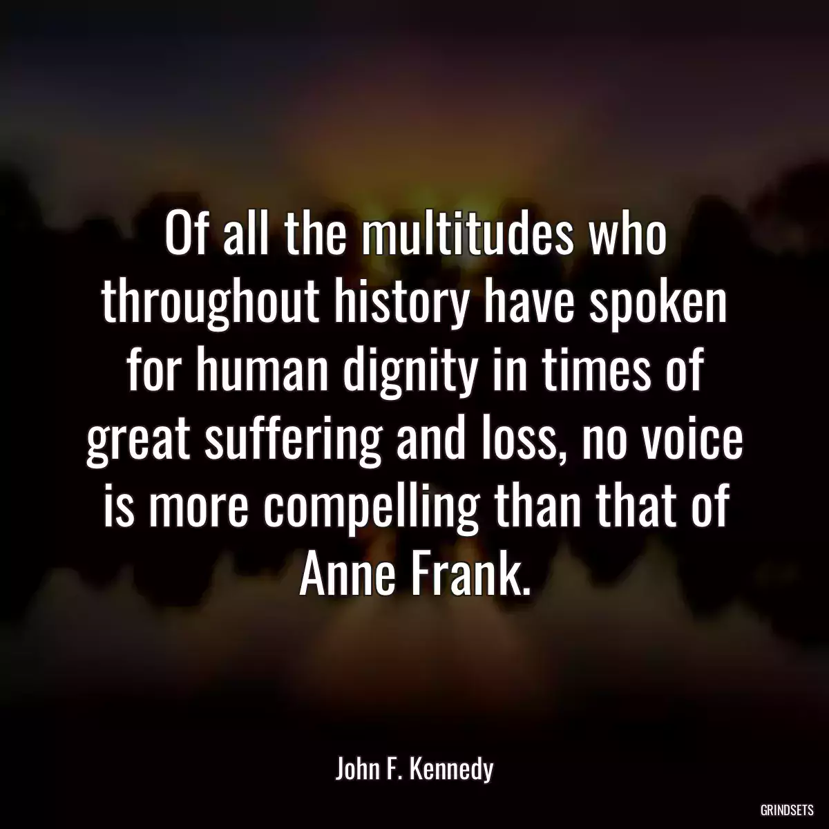 Of all the multitudes who throughout history have spoken for human dignity in times of great suffering and loss, no voice is more compelling than that of Anne Frank.