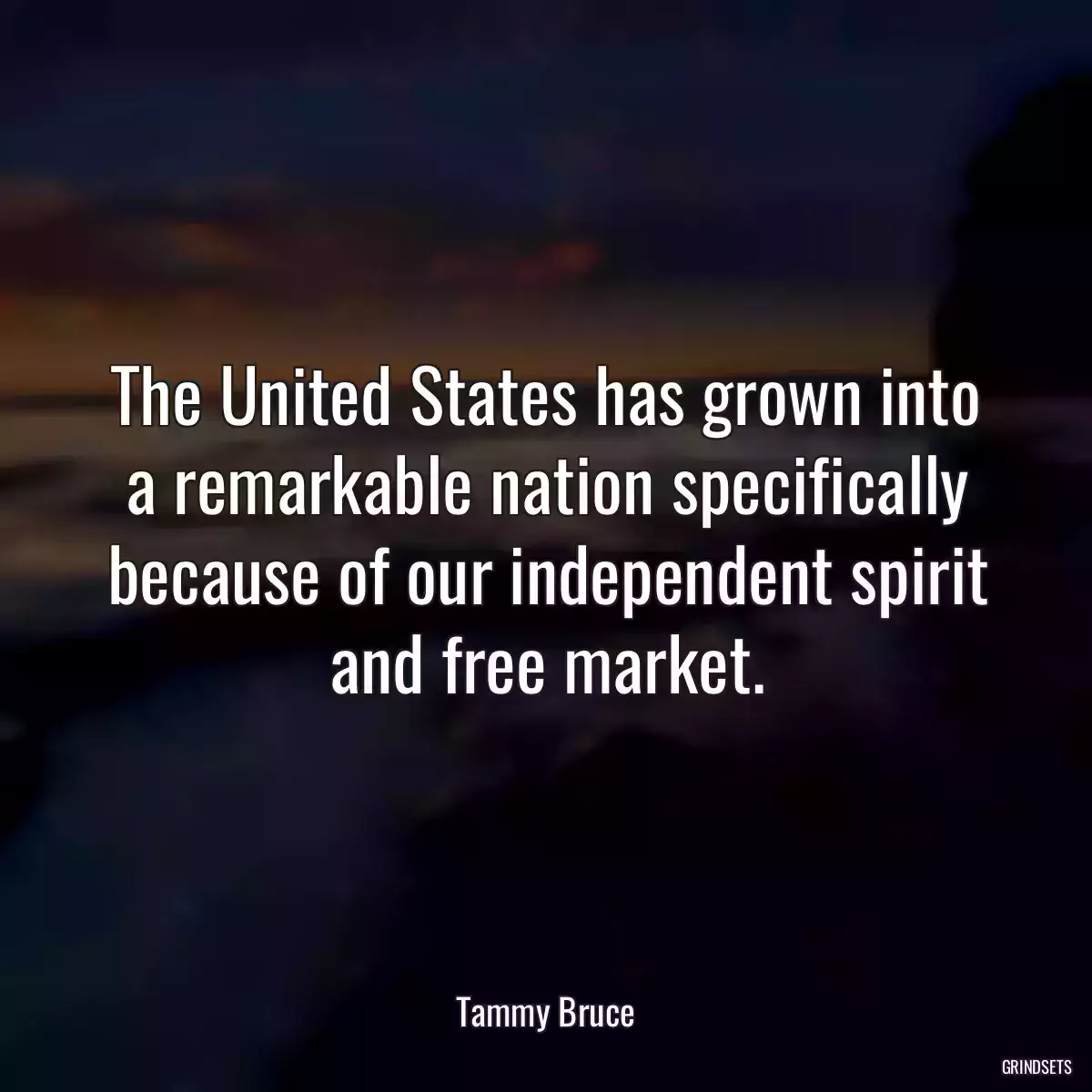 The United States has grown into a remarkable nation specifically because of our independent spirit and free market.