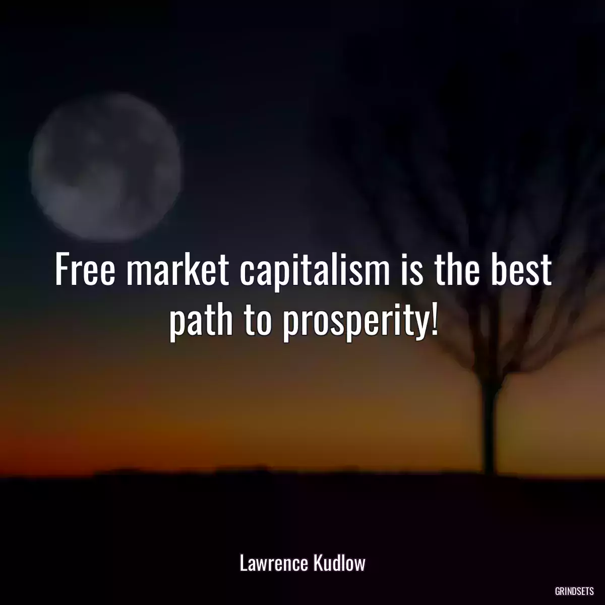 Free market capitalism is the best path to prosperity!