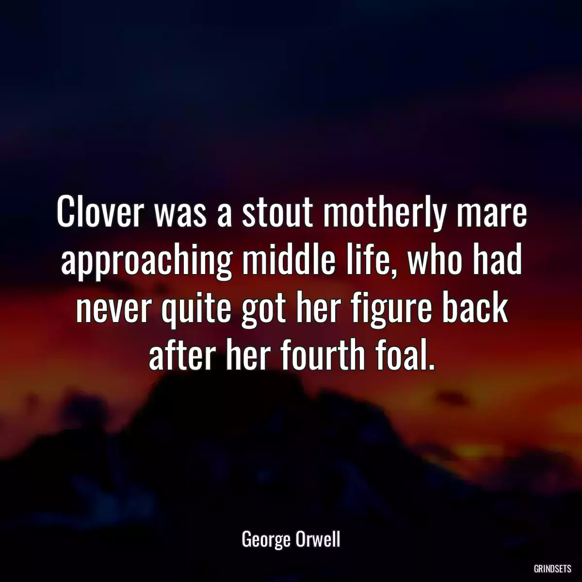 Clover was a stout motherly mare approaching middle life, who had never quite got her figure back after her fourth foal.