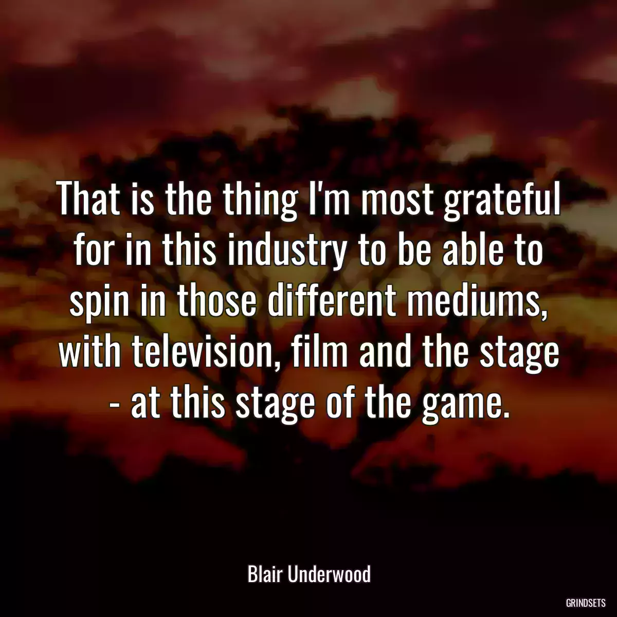 That is the thing I\'m most grateful for in this industry to be able to spin in those different mediums, with television, film and the stage - at this stage of the game.