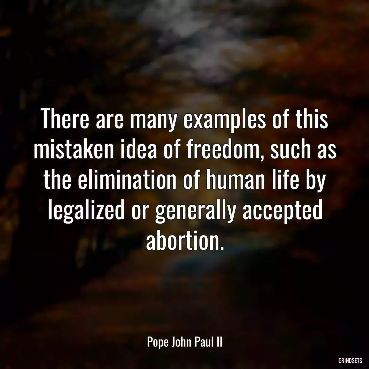 There are many examples of this mistaken idea of freedom, such as the elimination of human life by legalized or generally accepted abortion.