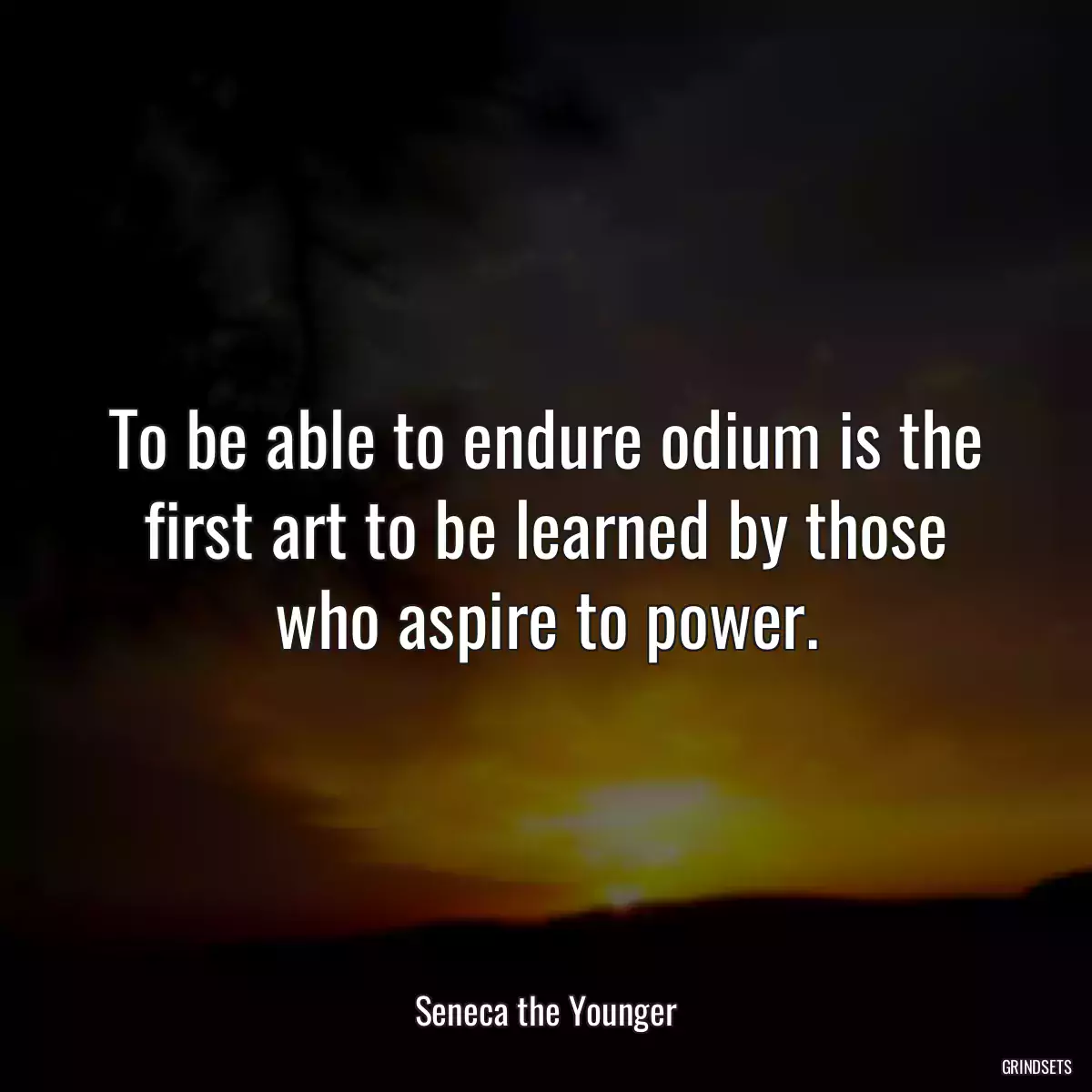 To be able to endure odium is the first art to be learned by those who aspire to power.