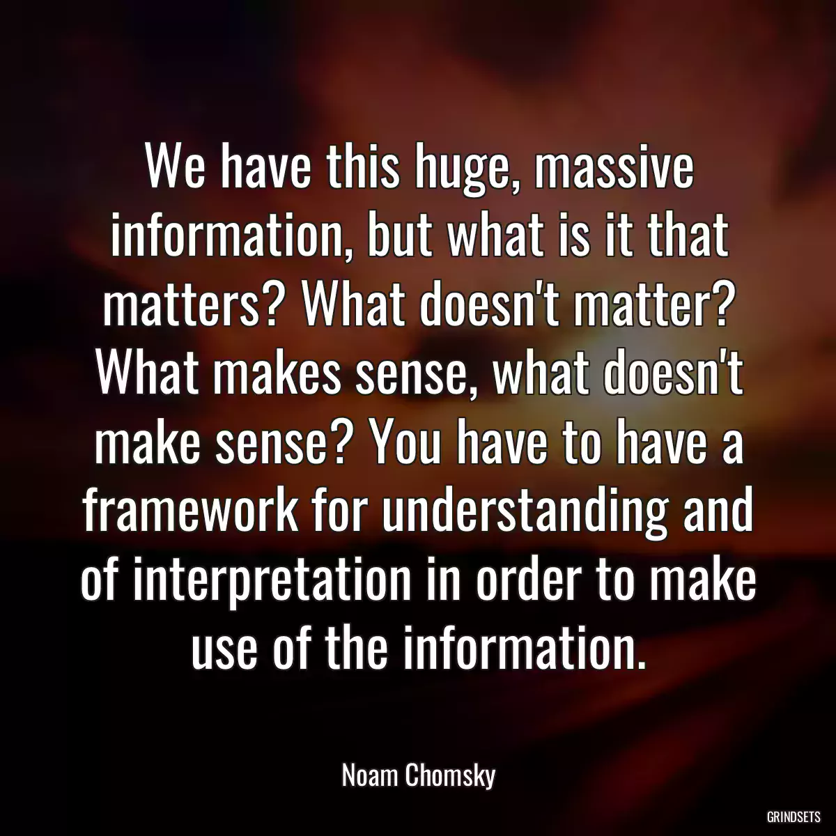 We have this huge, massive information, but what is it that matters? What doesn\'t matter? What makes sense, what doesn\'t make sense? You have to have a framework for understanding and of interpretation in order to make use of the information.