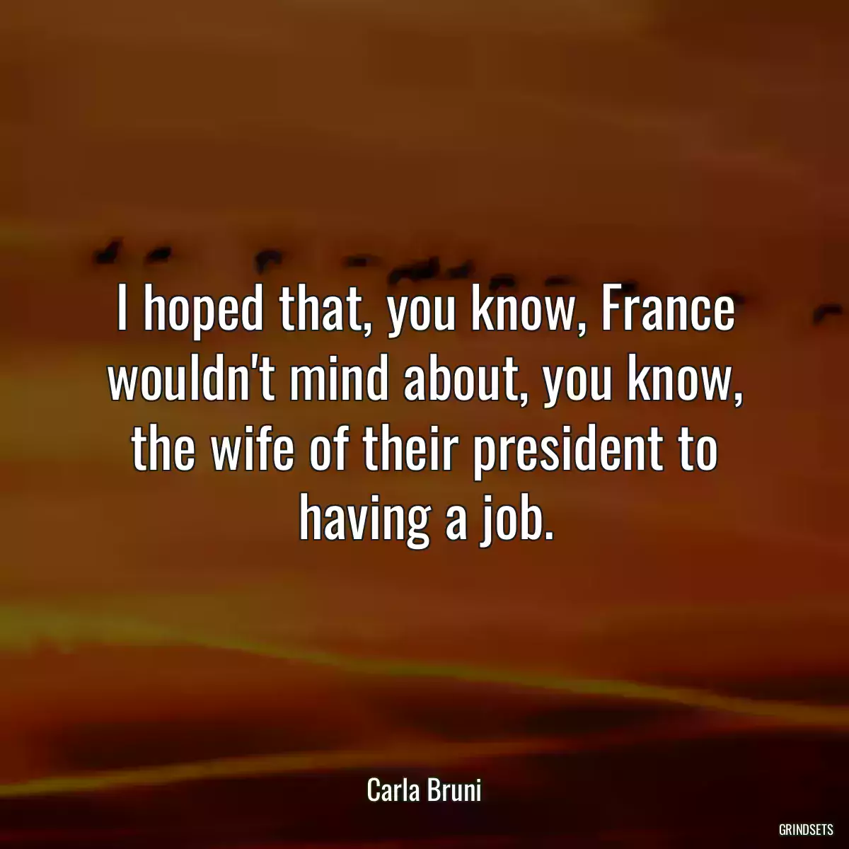 I hoped that, you know, France wouldn\'t mind about, you know, the wife of their president to having a job.