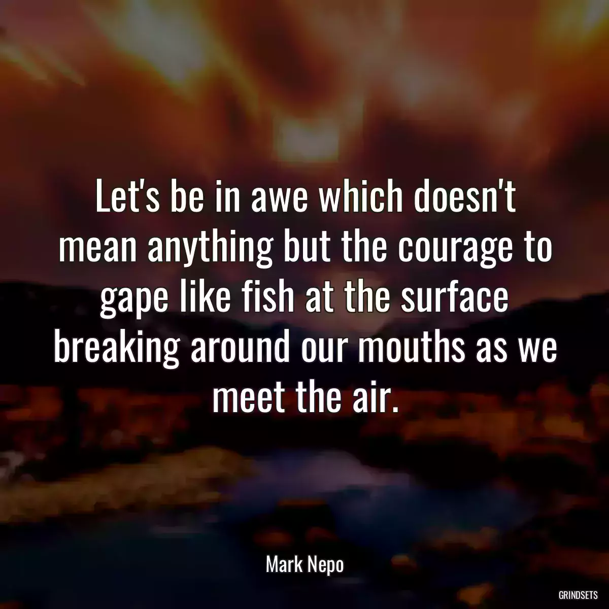 Let\'s be in awe which doesn\'t mean anything but the courage to gape like fish at the surface breaking around our mouths as we meet the air.