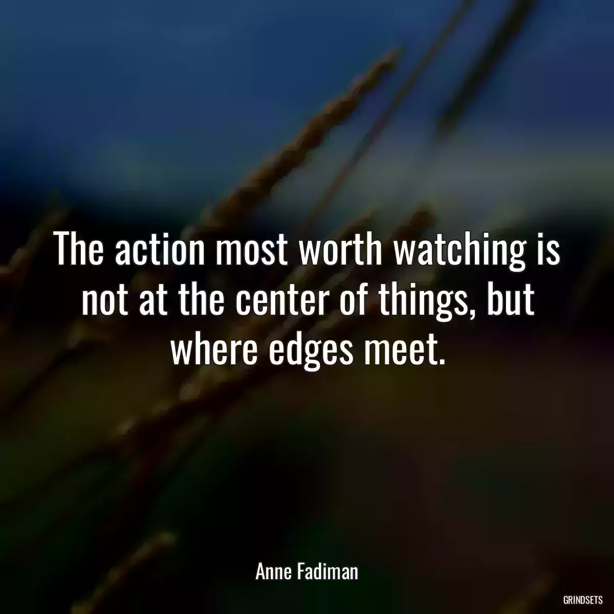 The action most worth watching is not at the center of things, but where edges meet.