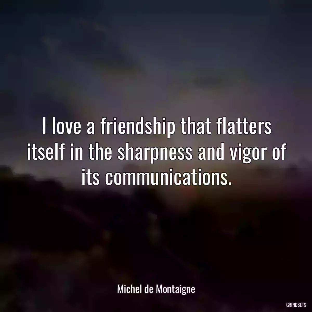 I love a friendship that flatters itself in the sharpness and vigor of its communications.