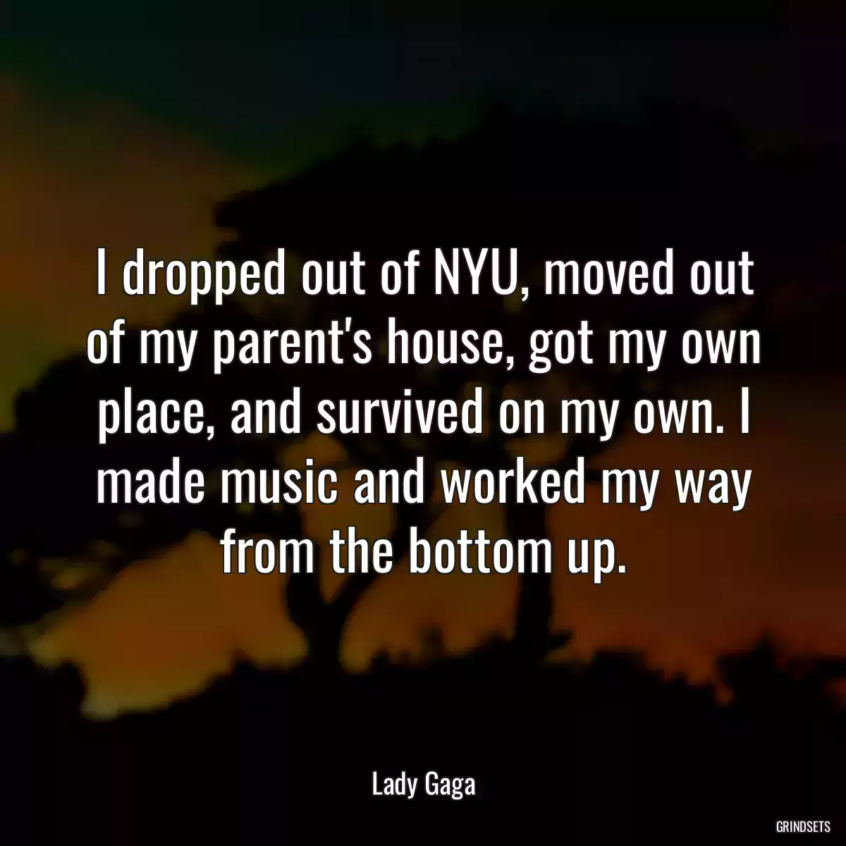 I dropped out of NYU, moved out of my parent\'s house, got my own place, and survived on my own. I made music and worked my way from the bottom up.