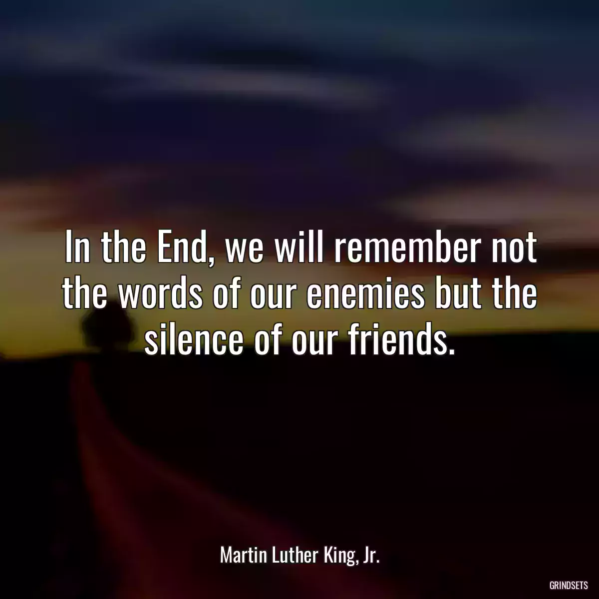 In the End, we will remember not the words of our enemies but the silence of our friends.