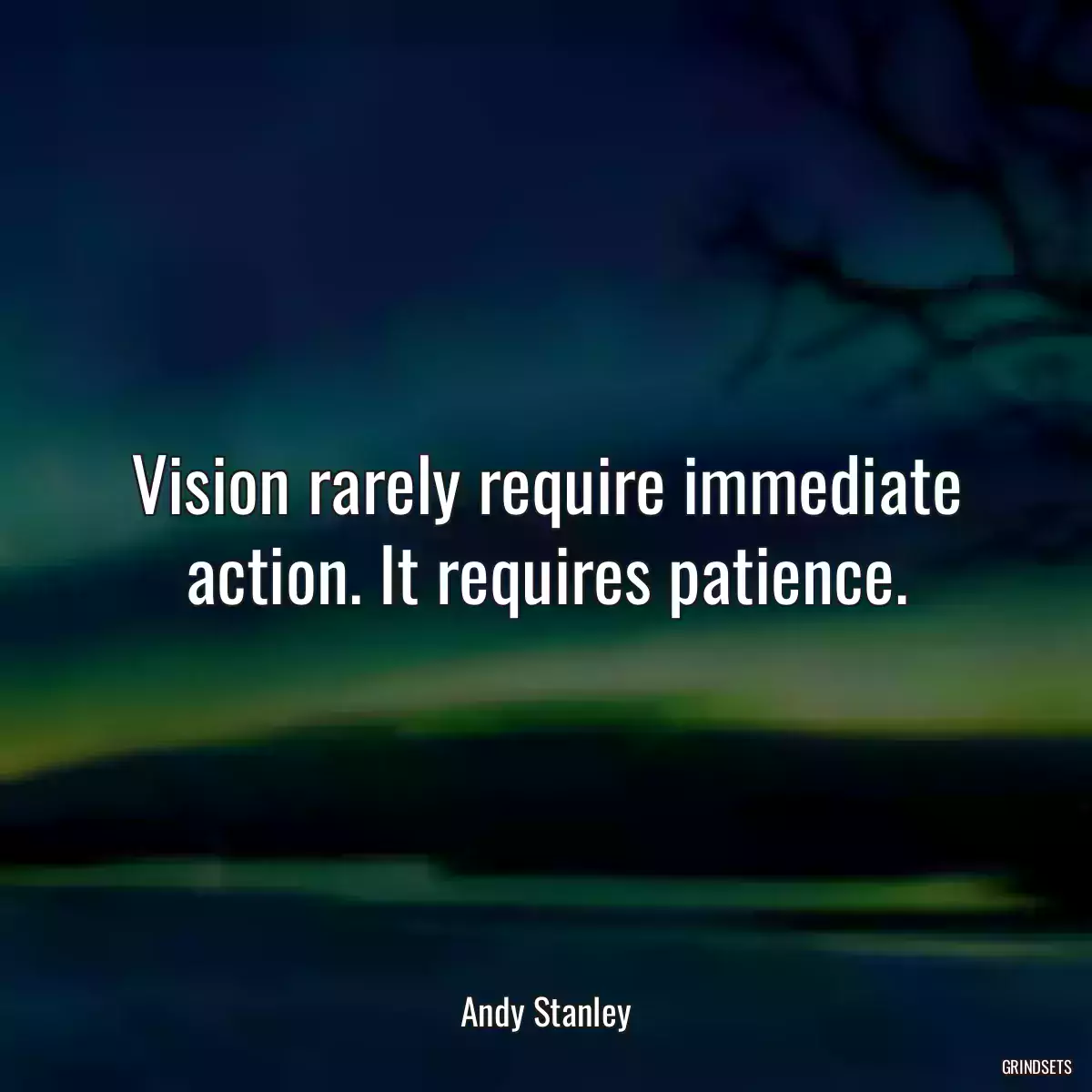 Vision rarely require immediate action. It requires patience.