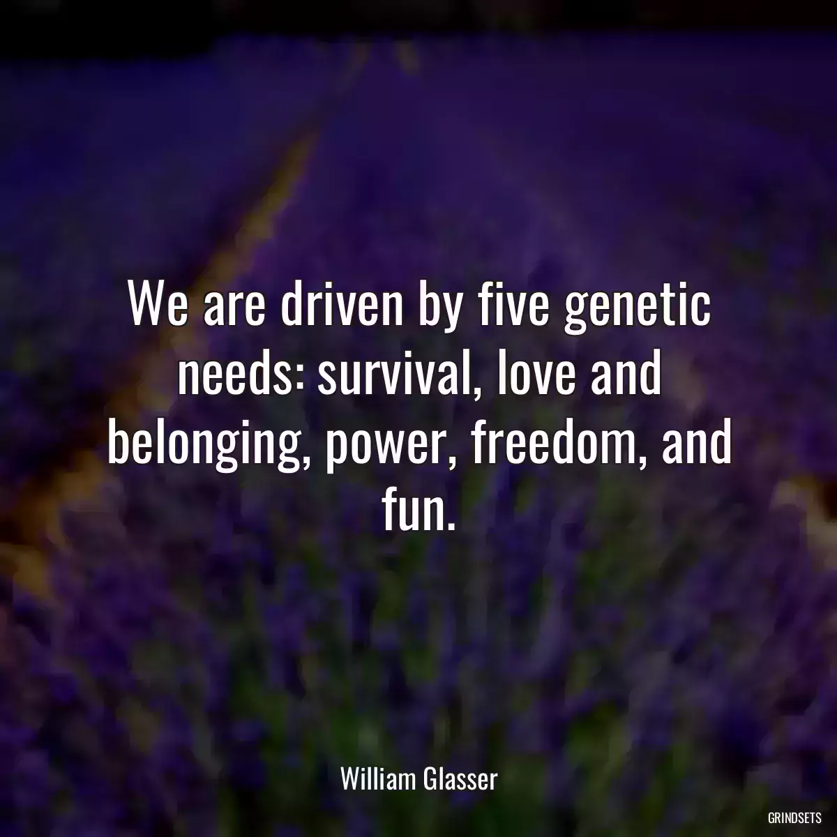 We are driven by five genetic needs: survival, love and belonging, power, freedom, and fun.