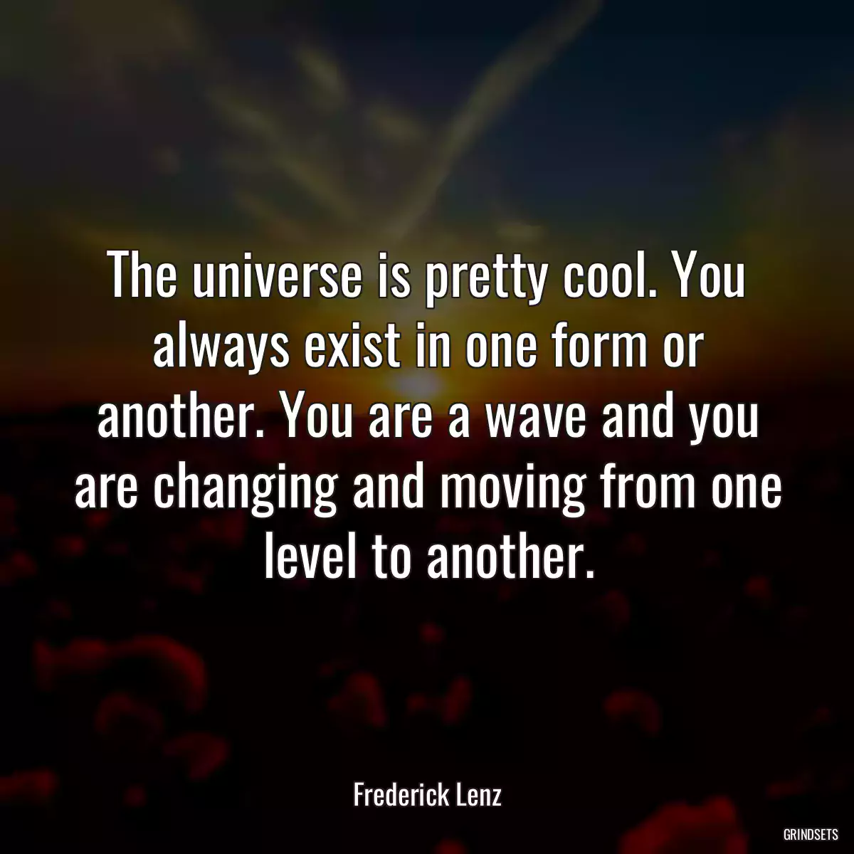 The universe is pretty cool. You always exist in one form or another. You are a wave and you are changing and moving from one level to another.