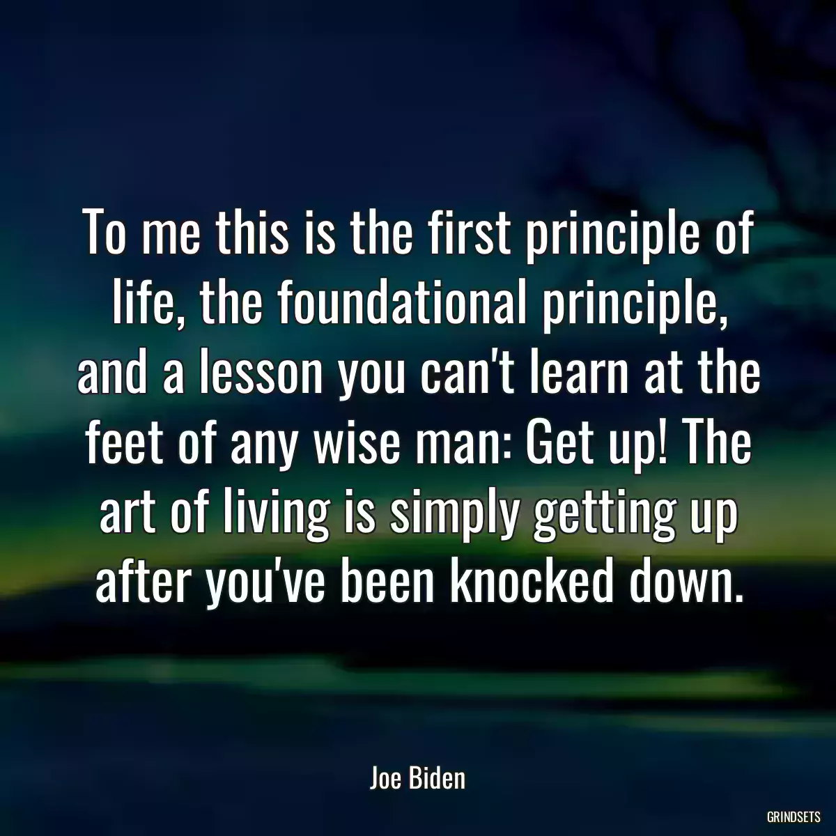 To me this is the first principle of life, the foundational principle, and a lesson you can\'t learn at the feet of any wise man: Get up! The art of living is simply getting up after you\'ve been knocked down.