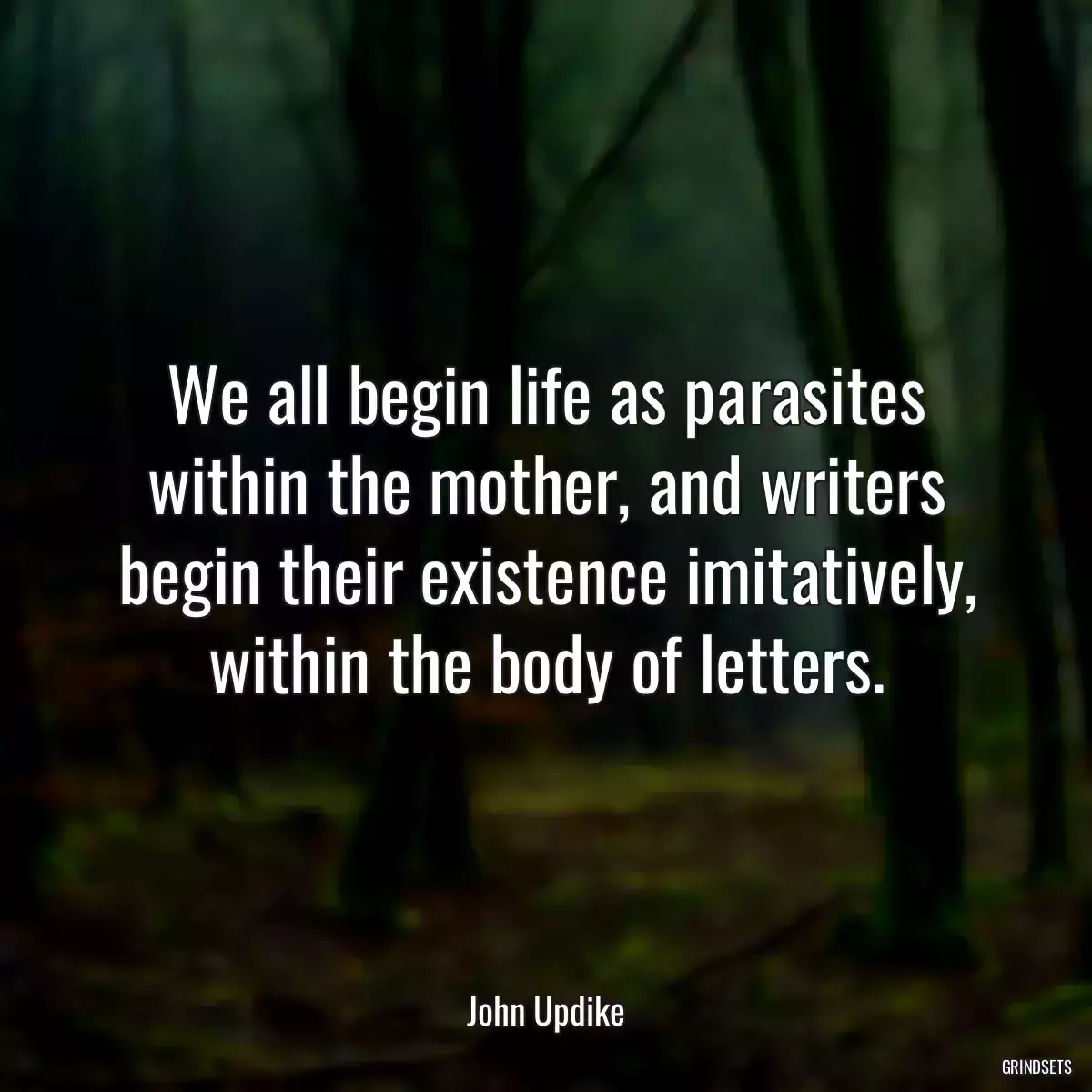 We all begin life as parasites within the mother, and writers begin their existence imitatively, within the body of letters.