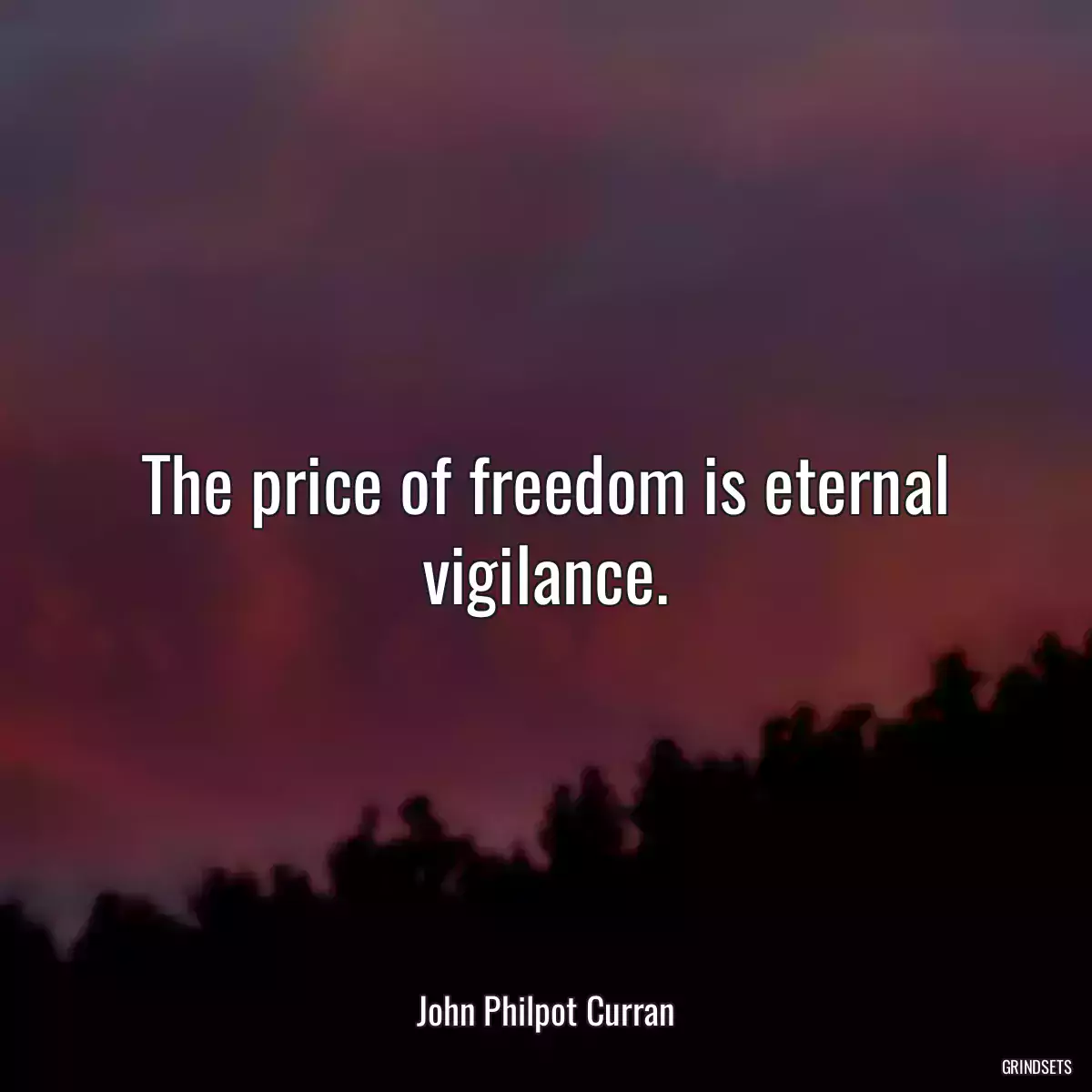 The price of freedom is eternal vigilance.