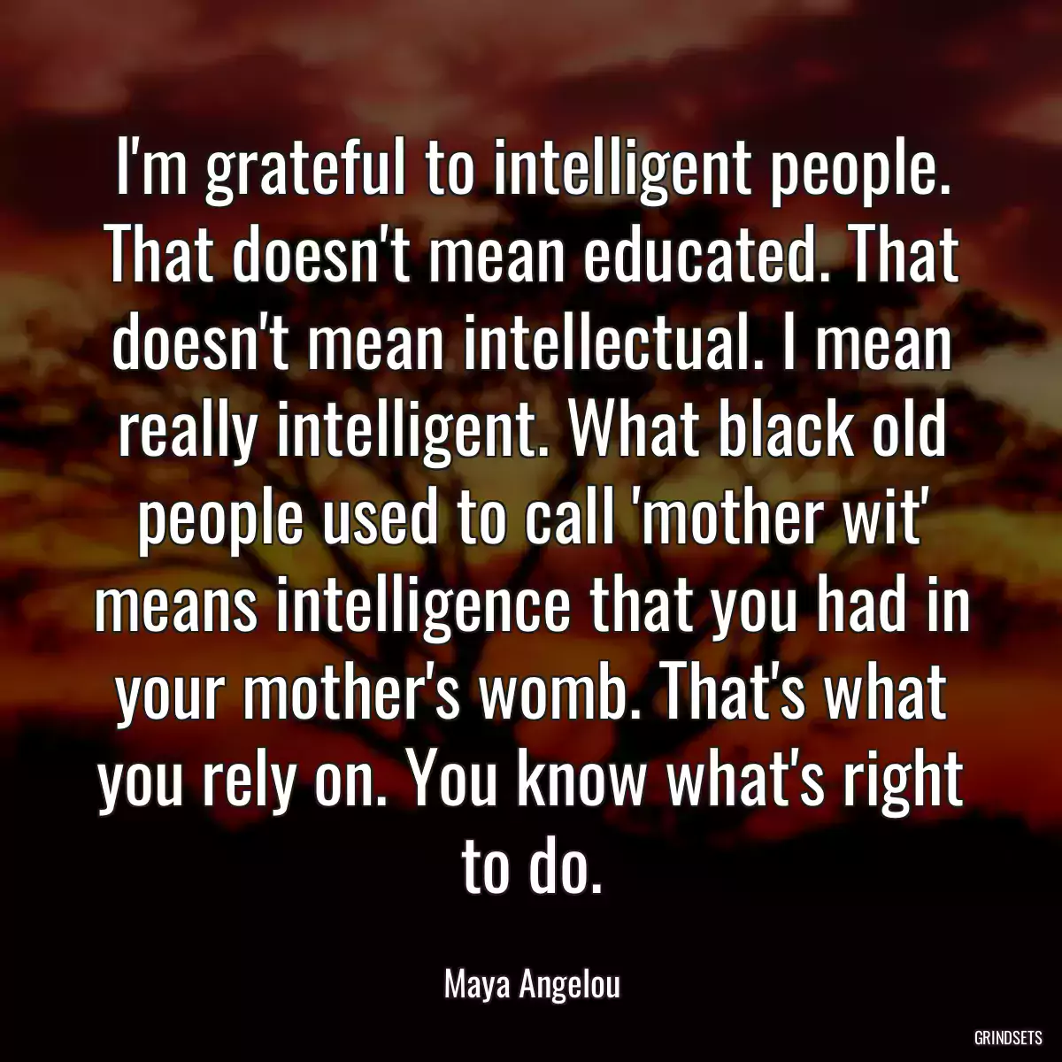 I\'m grateful to intelligent people. That doesn\'t mean educated. That doesn\'t mean intellectual. I mean really intelligent. What black old people used to call \'mother wit\' means intelligence that you had in your mother\'s womb. That\'s what you rely on. You know what\'s right to do.