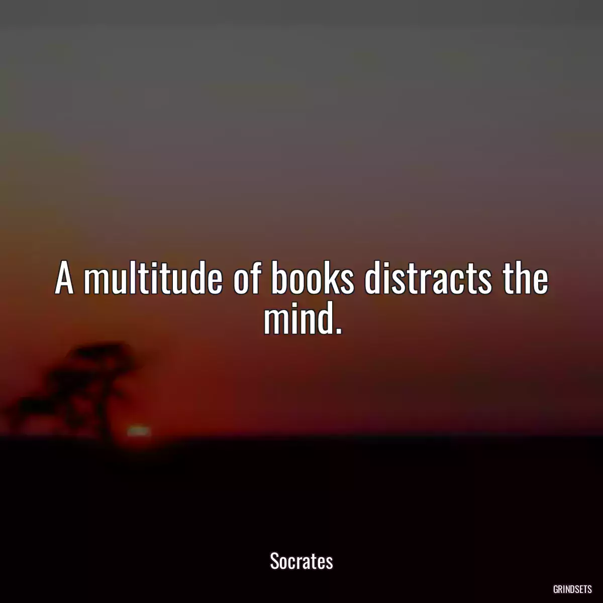 A multitude of books distracts the mind.