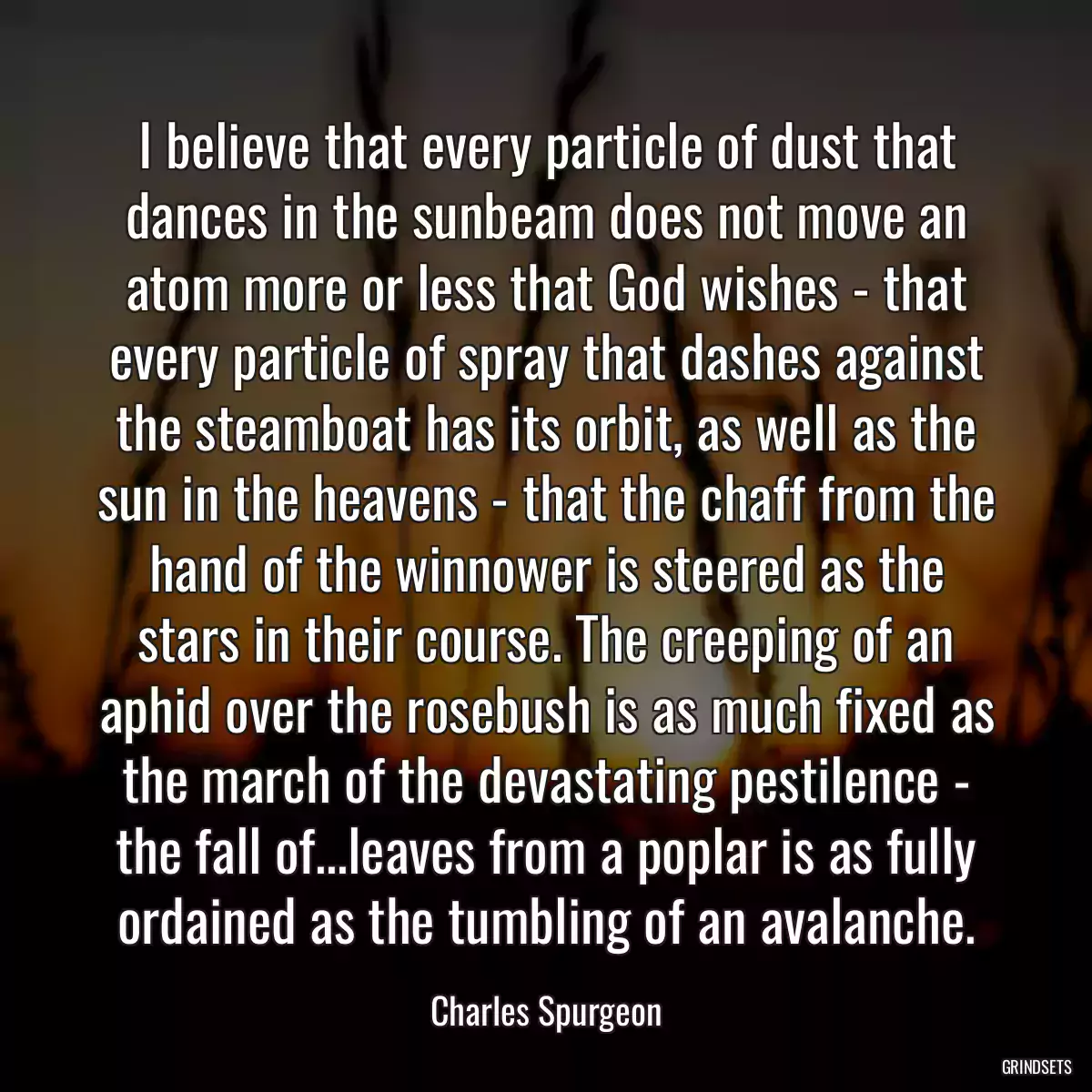 I believe that every particle of dust that dances in the sunbeam does not move an atom more or less that God wishes - that every particle of spray that dashes against the steamboat has its orbit, as well as the sun in the heavens - that the chaff from the hand of the winnower is steered as the stars in their course. The creeping of an aphid over the rosebush is as much fixed as the march of the devastating pestilence - the fall of...leaves from a poplar is as fully ordained as the tumbling of an avalanche.