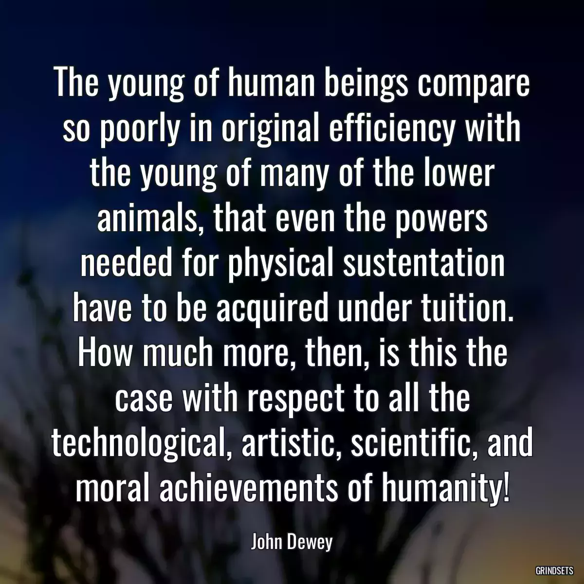 The young of human beings compare so poorly in original efficiency with the young of many of the lower animals, that even the powers needed for physical sustentation have to be acquired under tuition. How much more, then, is this the case with respect to all the technological, artistic, scientific, and moral achievements of humanity!