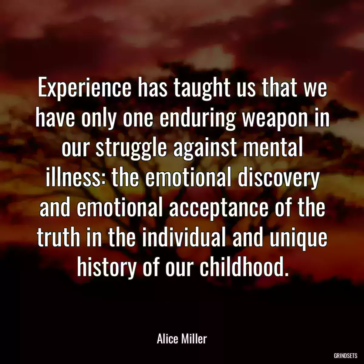 Experience has taught us that we have only one enduring weapon in our struggle against mental illness: the emotional discovery and emotional acceptance of the truth in the individual and unique history of our childhood.