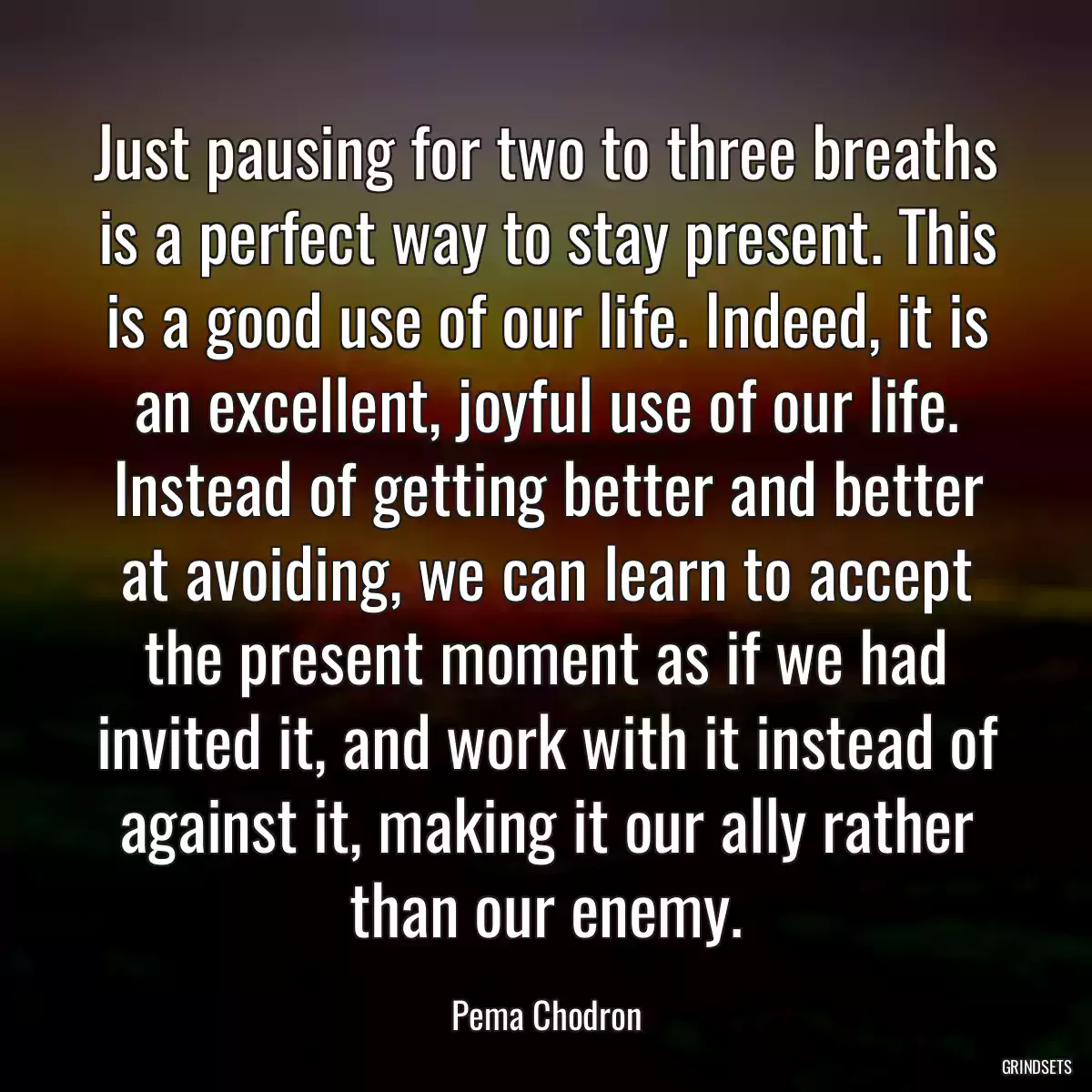 Just pausing for two to three breaths is a perfect way to stay present. This is a good use of our life. Indeed, it is an excellent, joyful use of our life. Instead of getting better and better at avoiding, we can learn to accept the present moment as if we had invited it, and work with it instead of against it, making it our ally rather than our enemy.